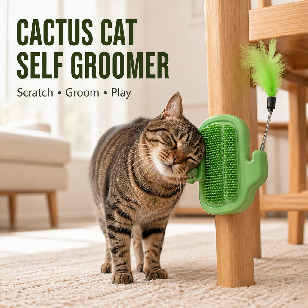 Cactus Cat Self-Grooming Brush with Catnip Ball and Feather Teaser [YQT:ULO-260921-003:68c1a0f060967177]