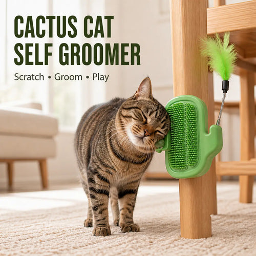 Cactus Cat Self-Grooming Brush with Catnip Ball and Feather Teaser [YQT:ULO-260921-003:68c1a0f060967177]